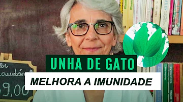 Para que serve o chá da planta unha-de-gato?