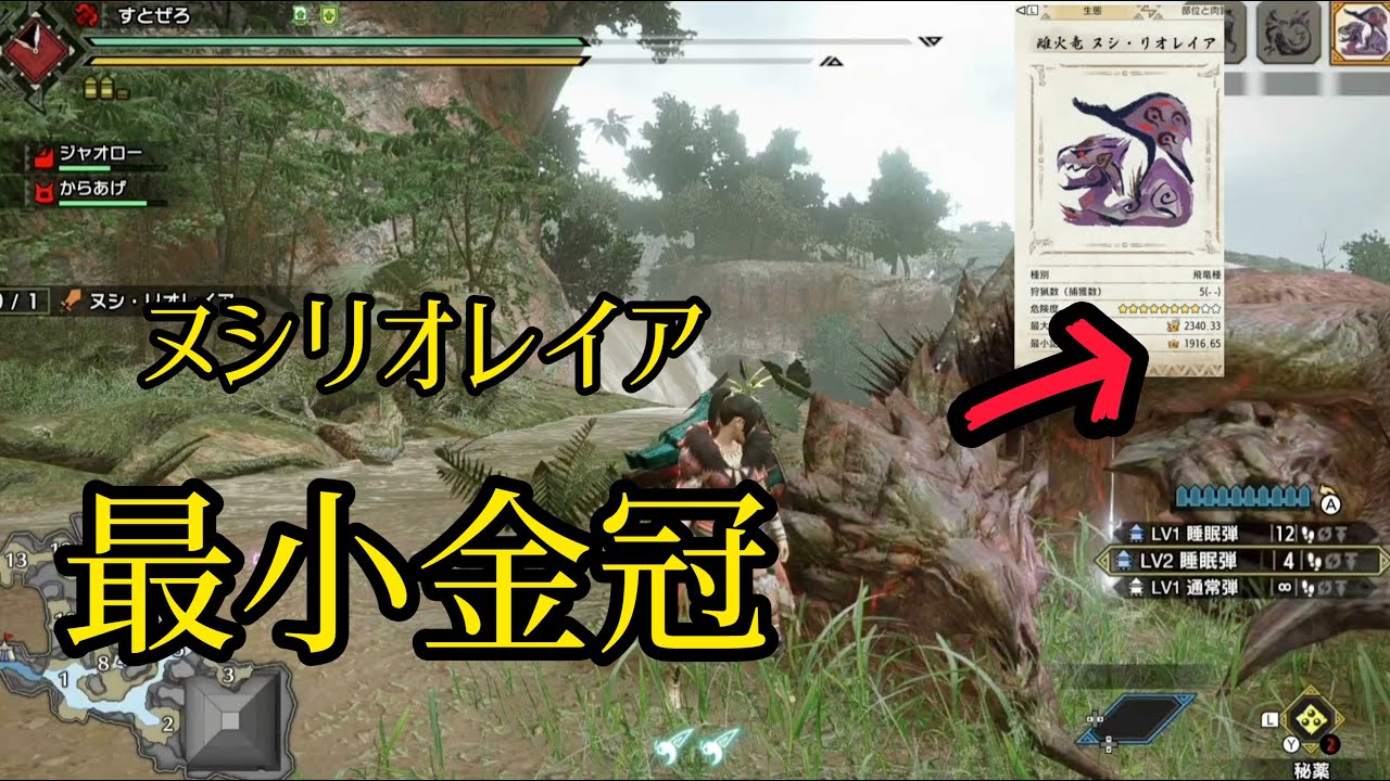 モンハンライズ ８ヌシリオレイア最小金冠 Youtube