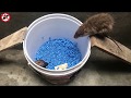 DIY Mouse Trap Water 🐀🐀 10 Mice in trapped one night 🐭 How to make Mouse/ Rat trap 👍🐀🐀