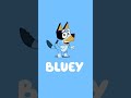 2017 Bluey Pilot Intro HD Bluey Shorts