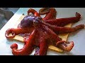 活タコの脳みそを解体して研究 Octopus food