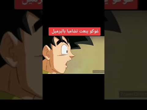 غوكو يشبه تشامبا بالبرميل