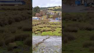 Costanera de Curaco de Vélez. #chiloé #isladechiloé #paisajes #naturaleza #quinchao