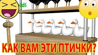 ИЗУЧАЕМ ДОМАШНИХ ПТИЦ - Мультфильм для детей 2-5 лет ИЗУЧАЕМ ДОМАШНИХ ПТИЦ - Мультфильм для детей 2-5 лет