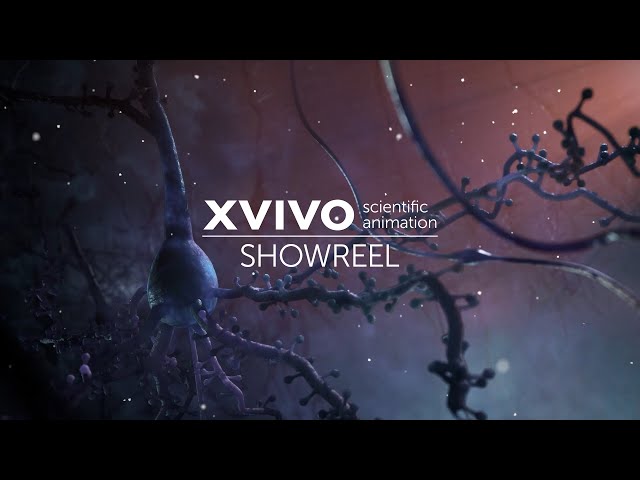 XVIVO Medical Animation Reel 2022 class=