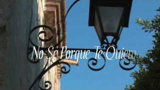 Video thumbnail of "No Se Porque Te Quiero (Cover by Nancy Cruz)"