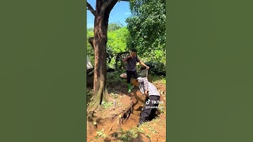 Dịch vụ Trồng Cây Xanh Cảnh ở Hà Nội by Sân Vườn Phú Minh