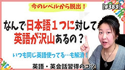 Comical Reina 無料動画英語レッスン Comical Reina 無料動画英語レッスン