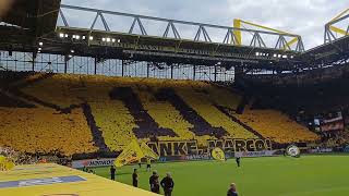 Choreo Marco Reus letztes Spiel , 18.05.2024