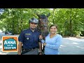 Ein Tag mit Polizeipferden | Information für Kinder | Anna und die Haustiere | Spezial