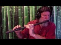 Low D Irish Flute made in Carbon Fiber