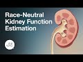 Race-Neutral Estimates of Kidney Function: Enhancing Equity