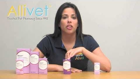 Metacam Oral Suspension