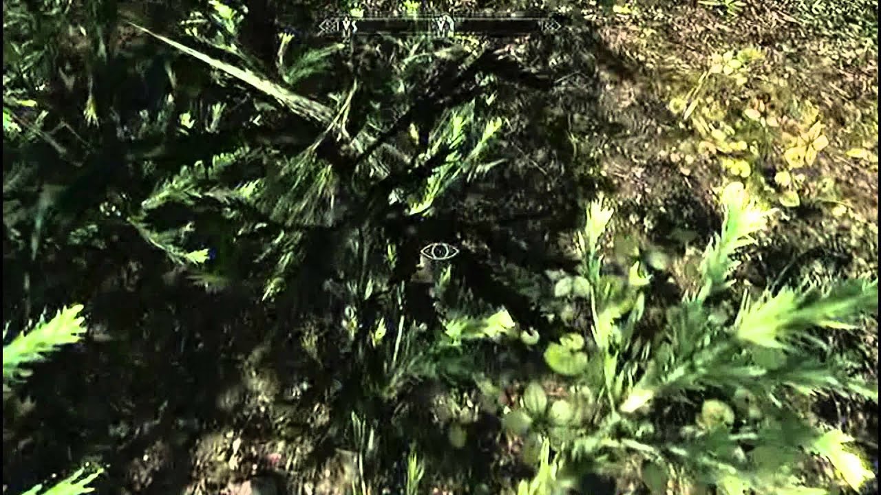 Solitude Invisible Chest YouTube