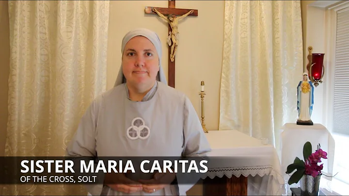 14th Sunday in Ordinary Time (YEAR A)