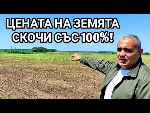 Видео: Изгодно ли е да се инвестира в скъпоценни камъни?