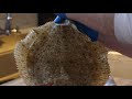 Ikejime: How to Kill Fish Humanely & Make Them Tastier