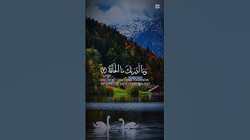 الشيخ عبد الباسط عبد الصمد سوره الحاقه #القران #المصحف #اكسبلور #الرحمن #تيك_توك #duet #viralvideo #