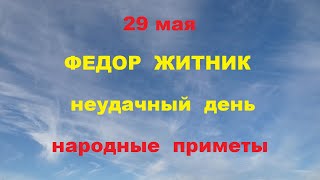 29 мая -Федор Житник.Самый опасный день.Народные приметы.