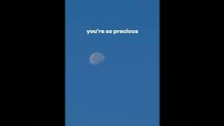 Phoncet - I like you the most ft. Varinz (Shad English Version) lirik