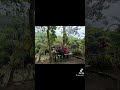 pinggir kota semarang