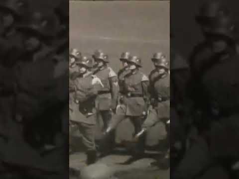 Prussian Schwenk 1928