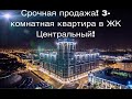 🔔🔔🔔 СРОЧНО! 3-комнатная квартира ЖК Центральный Краснодар! Ниже рынка.