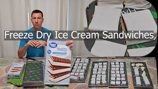 Make Freeze Dried Ice Cream Sandwiches