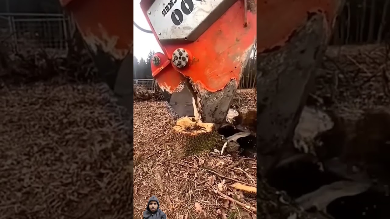 Tree Root Removal😱😱😱