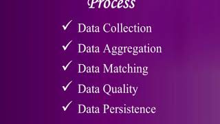 Data & Business Management Services | B2B Leo