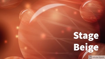 Stage Beige (Spiral Dynamics Level 1)