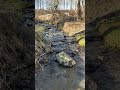 Stream Sounds to Relax
