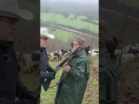 Elimizdeki Çok Eski Tüfek İle Amaç Korkutmak!