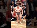 Why Sumo Wrestlers Eat 10,000 Calories a Day! 🍚🥩 #facts #trending #ytshorts