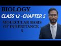 Molecular basic of inheritance.class 12 #class 12 biology #biologyclass12 #boardsexams