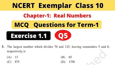 NCERT Exemplar | Class 10 Maths | Chapter 1 Real Numbers | Exercise 1.1 | Question 5 | MCQs Term 1