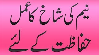 Neem Tree For Spiritual Protection In Urdu