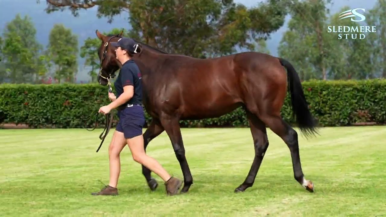 Simon Zahra Racing Simon Zahra Flemington Horse Trainers