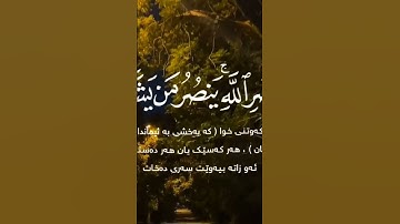 #سورة_الروم #سعد_الغامدي