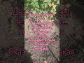 Отключили свет #анекдоты #приколы #мемы