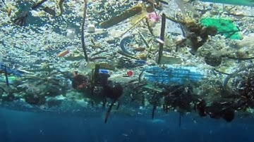 The Dangers of Microbeads (Garbology Video)