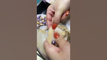Thumbnail of Where do pearls come from?Open the pearl oyster and you'll find out. 10-year-old freshwater pearls