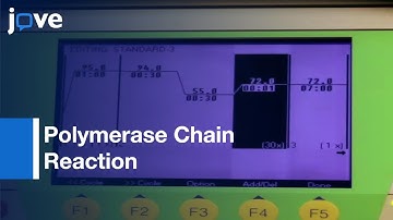 PCR Basic Protocol Plus Troubleshooting & Optimization Strategies l Protocol Preview