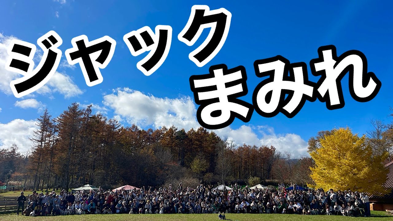 【日本最大級】ジャックラッセルのオフ会は楽園すぎた!!