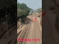 A man and a goat crossed the The line is crossed. #shorts #railway #train #railtrack #usa #flyp