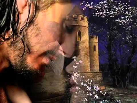 PRZYTUL SIE KOCHANIE 白猫