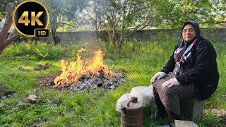 Burning Garbage And Cooking Torshi E Vash Khoresh: A Day In The Rural Life'