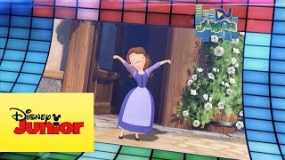 Dj Junior - Mash Up Princesita Sofía