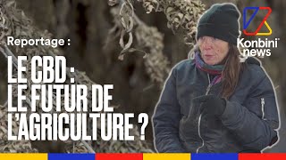 CBD : reportage dans la ferme de Nathalie, productrice de chanvre l Konbini News