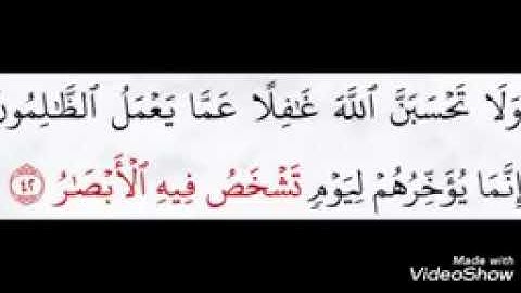 "ولا تحسبن الله غافلآ عما يعمل الظالمون" سورة أبراهيم" بصوت القارئ نورالدين"❤️